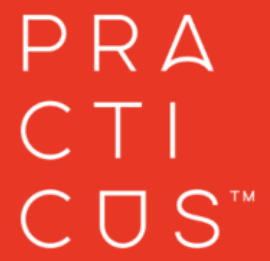 Practicus Ltd logo