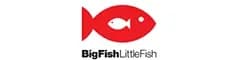 Big Fish Little Fish Recruitment Solutions logo