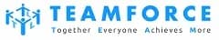 Teamforce Labour Ltd logo