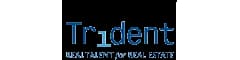 Trident International Associates logo