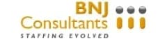 BNJ Consultants Ltd logo