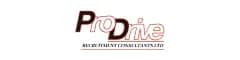 ProDrive Recruitment LLP logo